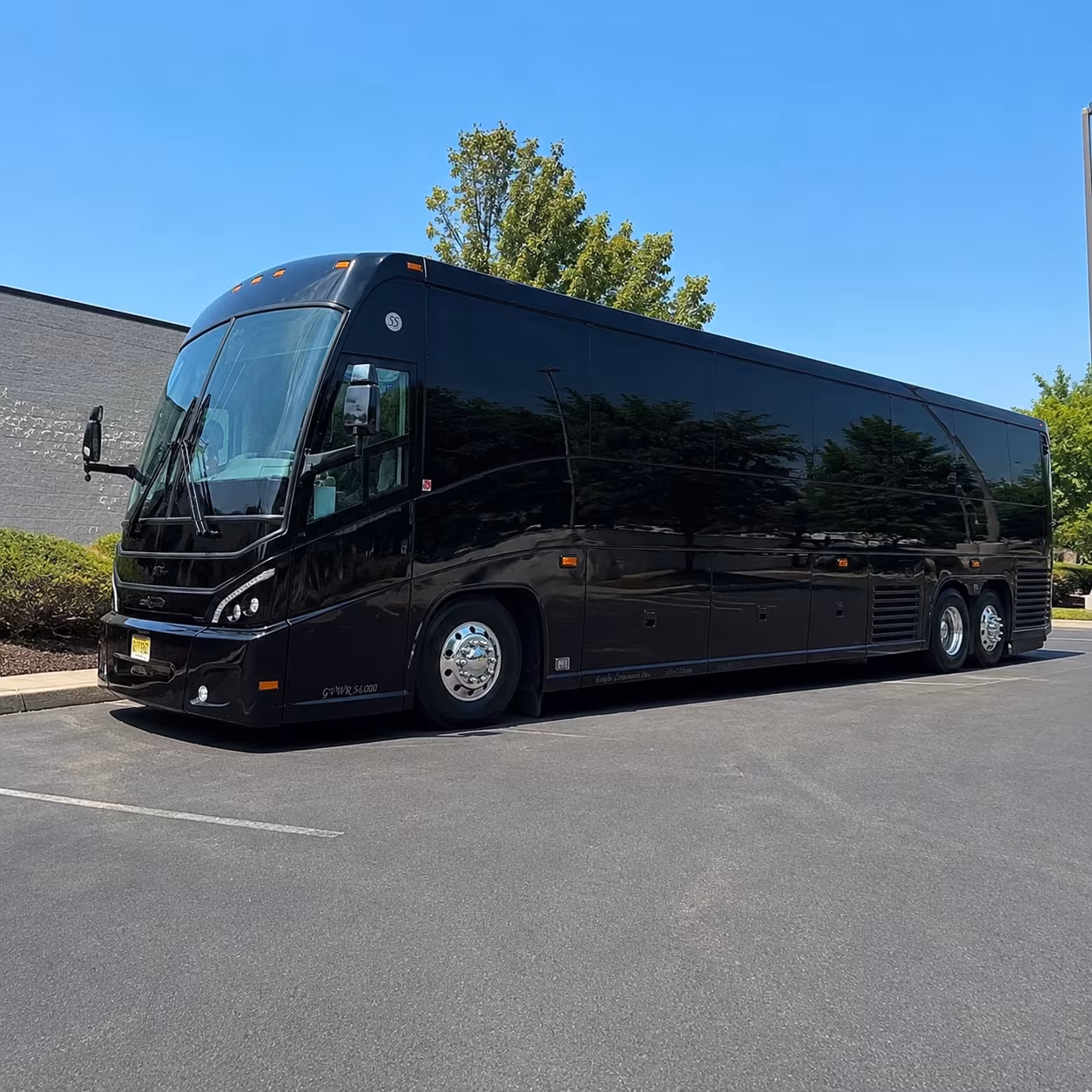 56 passenger charter bus